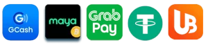 FBMPLAY app payment feature allowing fast transactions through mobile devices
